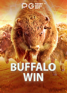 สูตรเด็ดในการเล่นสล็อต xo zx ที่ไม่ควรพลาด